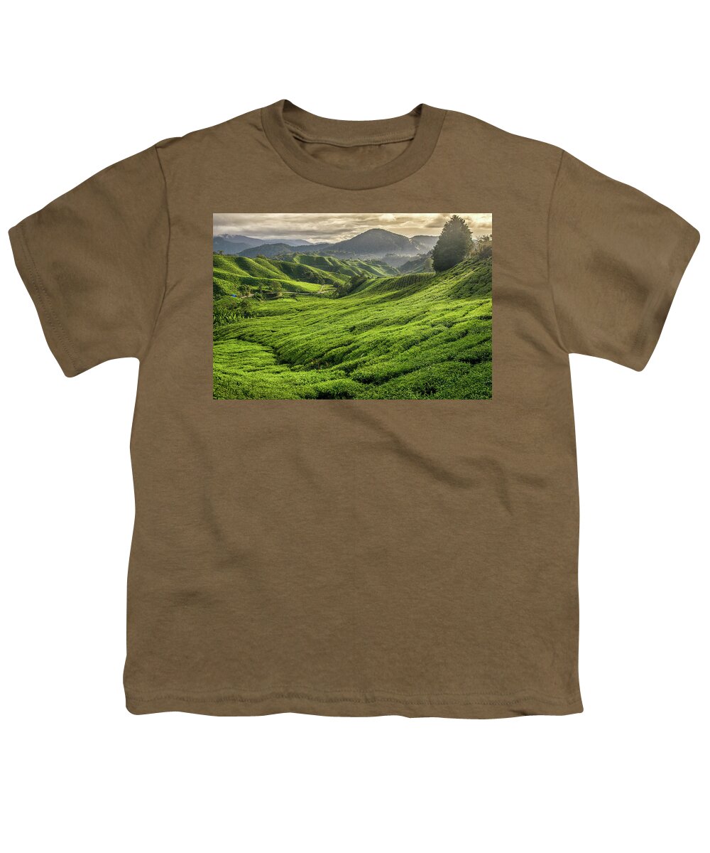 Malaysia Youth T-Shirt featuring the photograph Malaysia - Tea Plantation in Cameron Highlands by Martin Capek