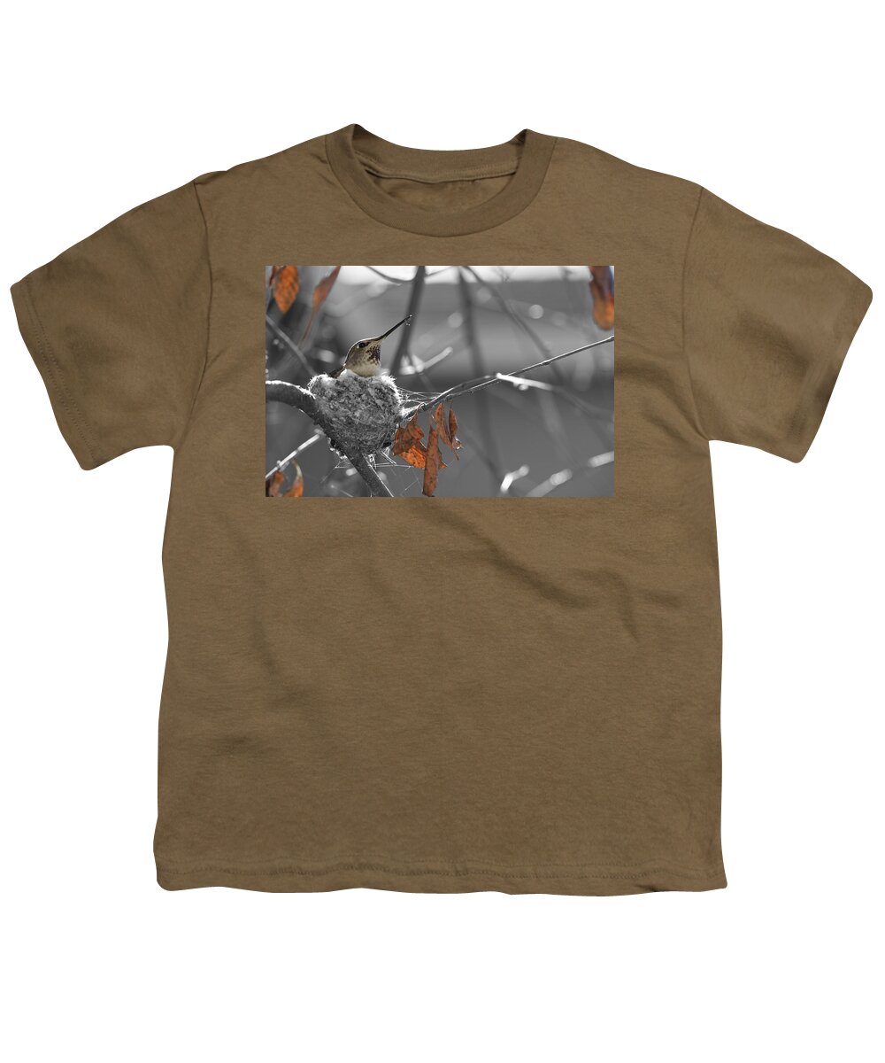 Nature Youth T-Shirt featuring the photograph Mama Hummingbird by Spencer Hughes