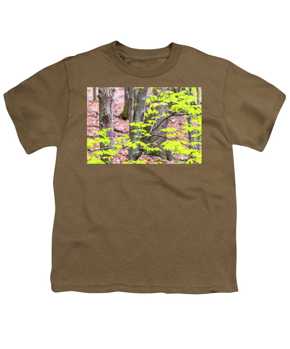 Branch Youth T-Shirt featuring the photograph Maple Leaves and Trees by SR Green