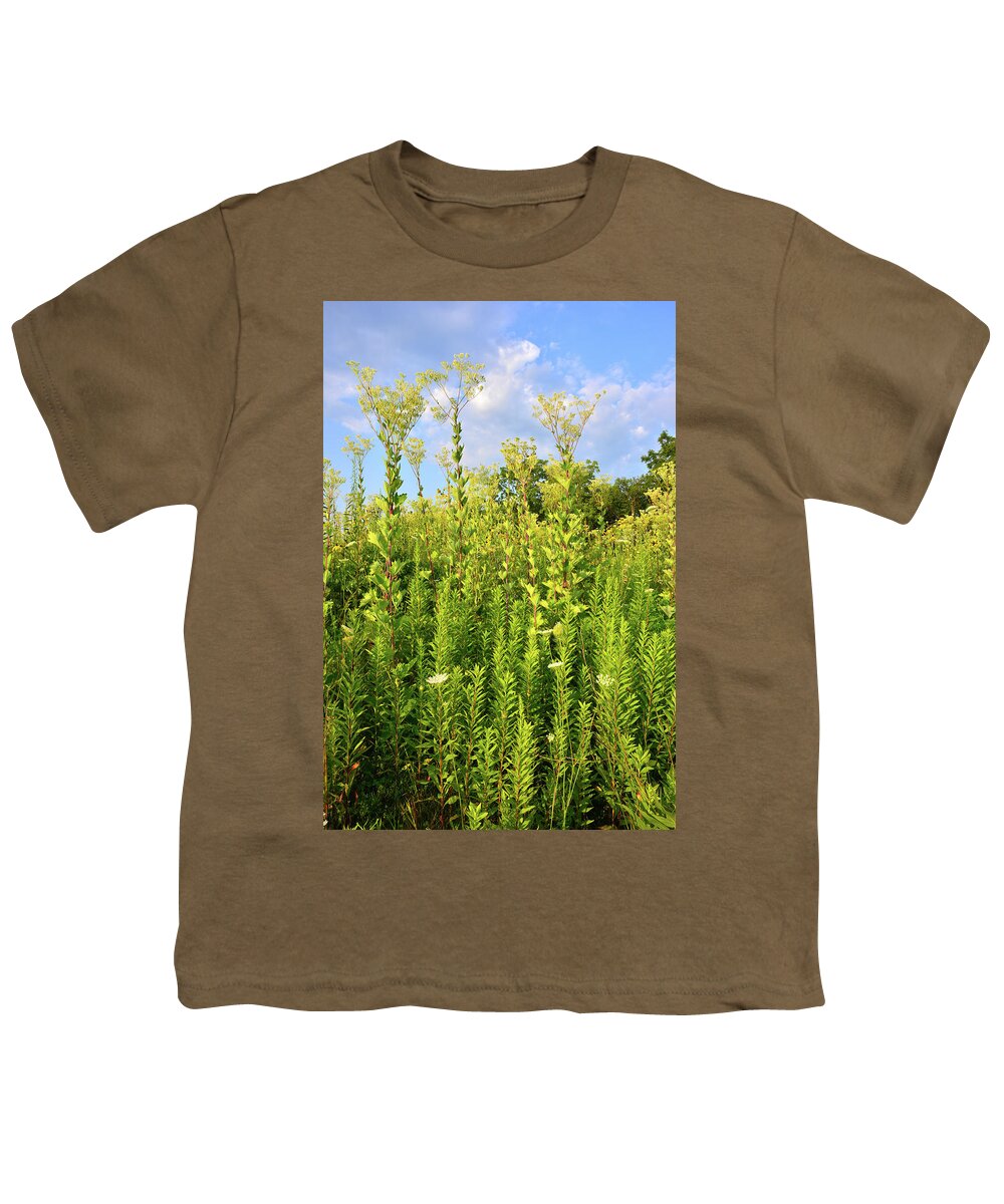 Sunflowers Youth T-Shirt featuring the photograph Marengo Ridge Indian Plantain by Ray Mathis