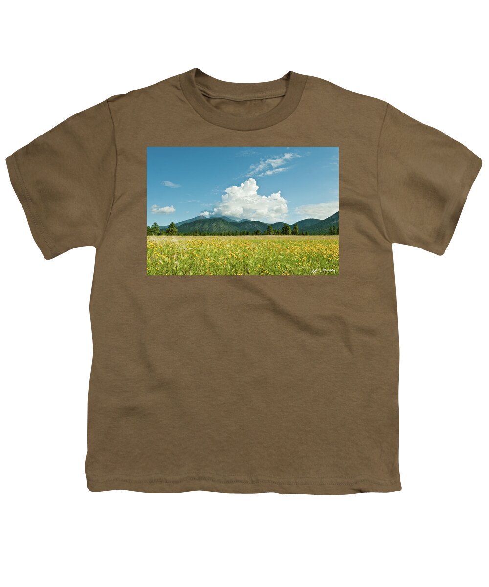 Arizona Youth T-Shirt featuring the photograph Meadow of Sunflowers and the San Francisco Peaks by Jeff Goulden