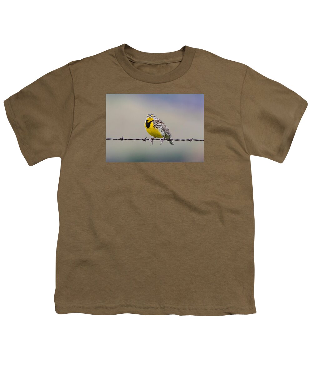 California Youth T-Shirt featuring the photograph Meadowlark Stare by Marc Crumpler