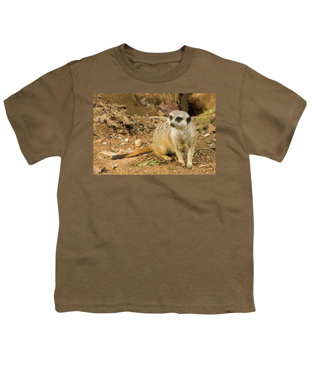 Zoo Youth T-Shirt featuring the photograph Meerkat by John Benedict