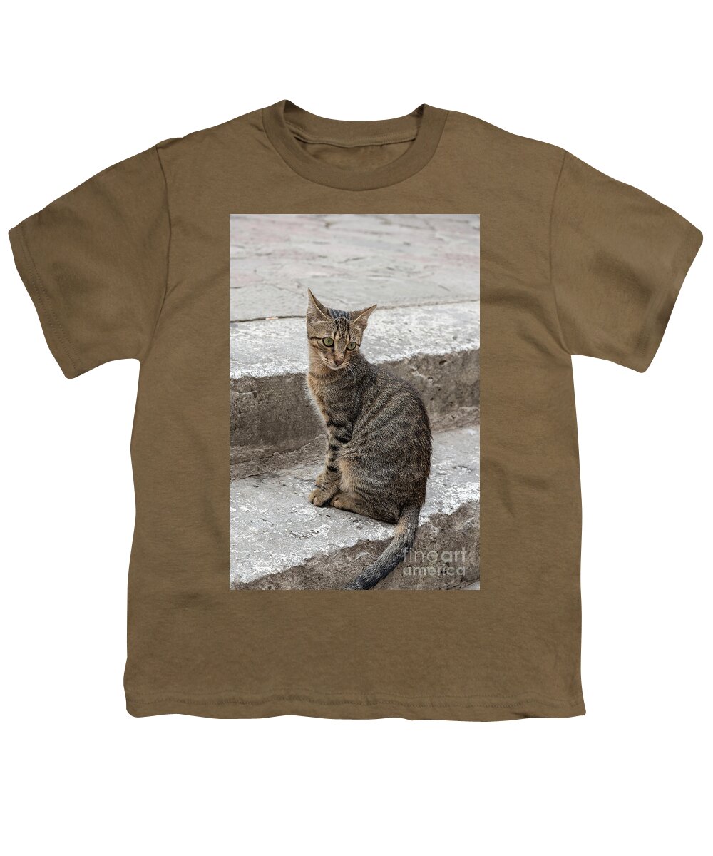 Cat Youth T-Shirt featuring the photograph Montenegro Kotor Kitty by Antony McAulay
