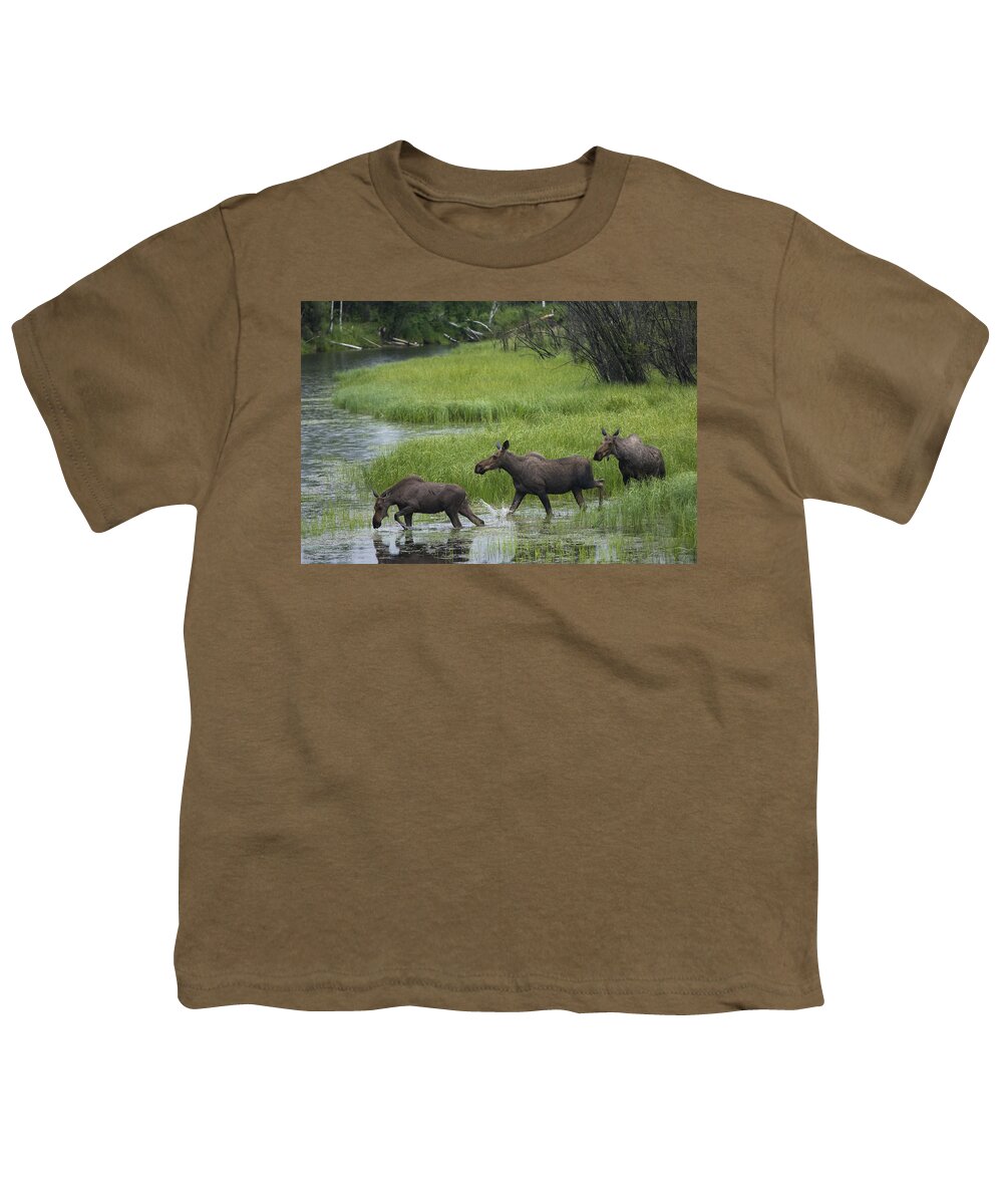 Mp Youth T-Shirt featuring the photograph Moose Alces Americanus Trio Crossing by Michael Quinton