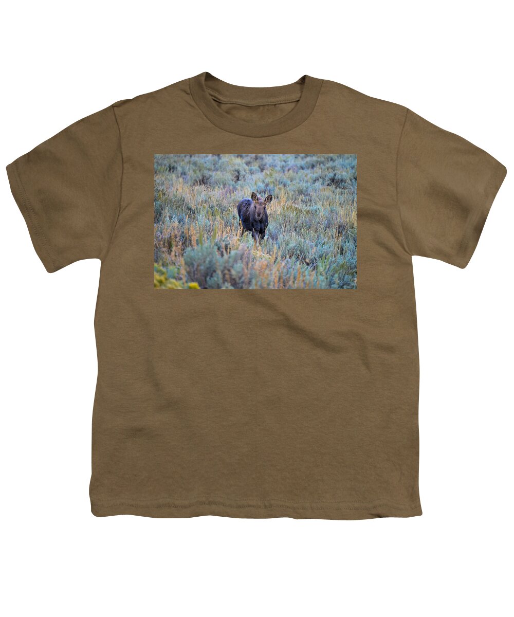 Grand Tetons Youth T-Shirt featuring the photograph Moose calf in Grand Teton National Park by Marilyn Burton