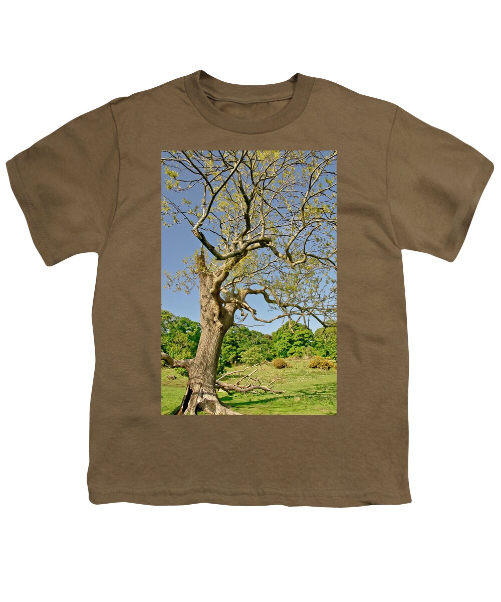 Tree Youth T-Shirt featuring the photograph Moving Up. by Elena Perelman