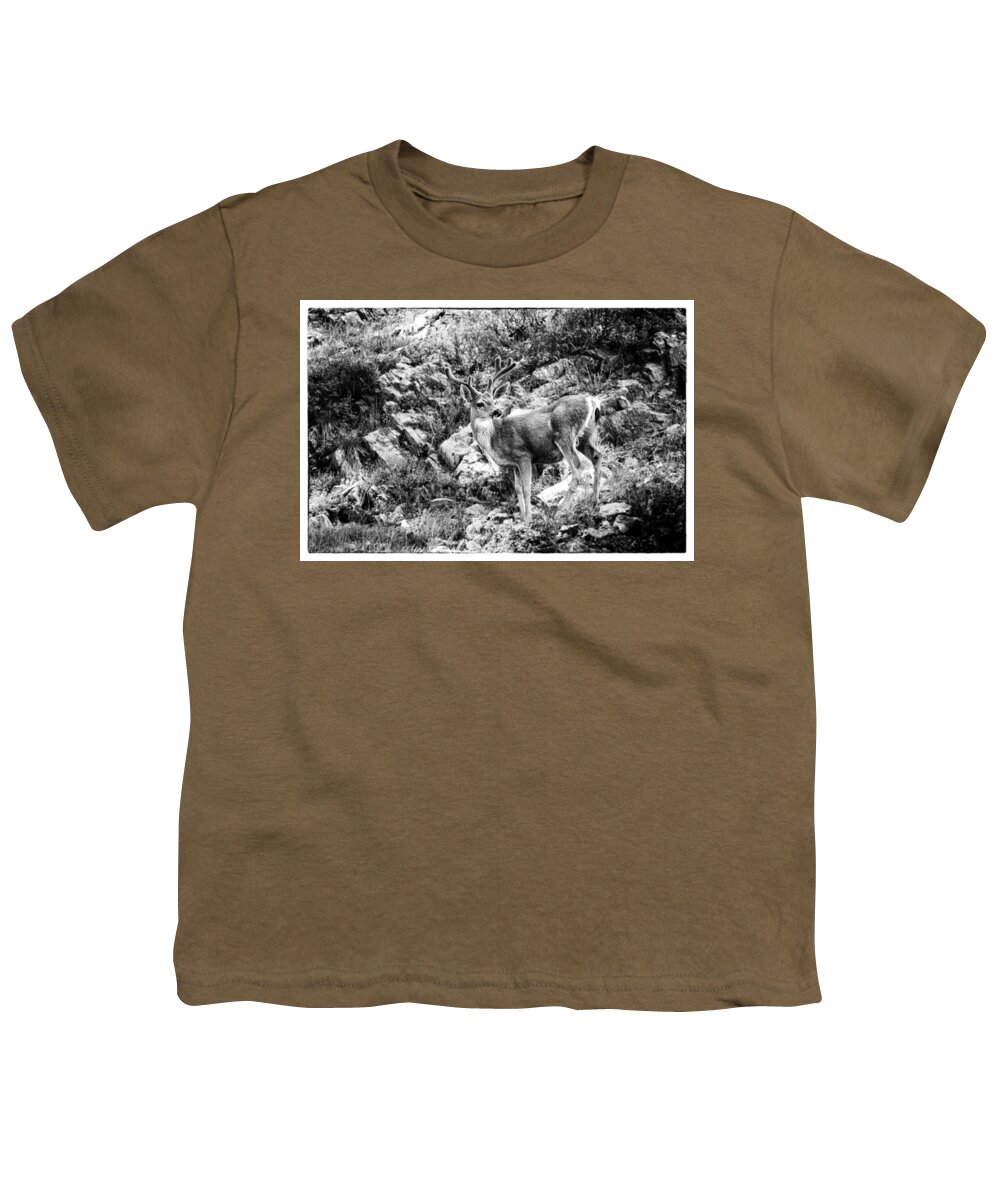 Deer Youth T-Shirt featuring the photograph Mule Deer Buck by Lawrence Knutsson