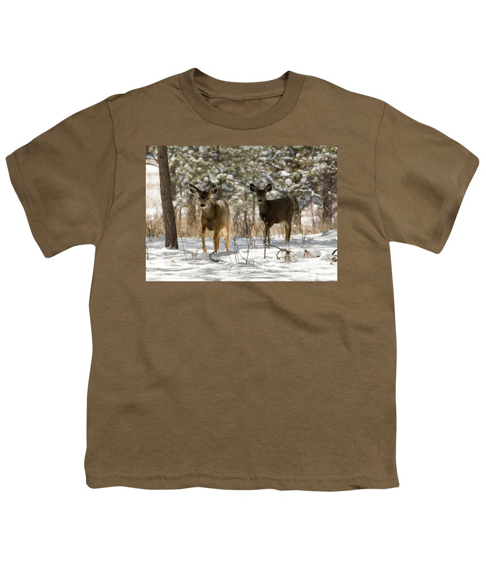 Deer Youth T-Shirt featuring the photograph Mule Deer on Winter Walk by Steven Krull
