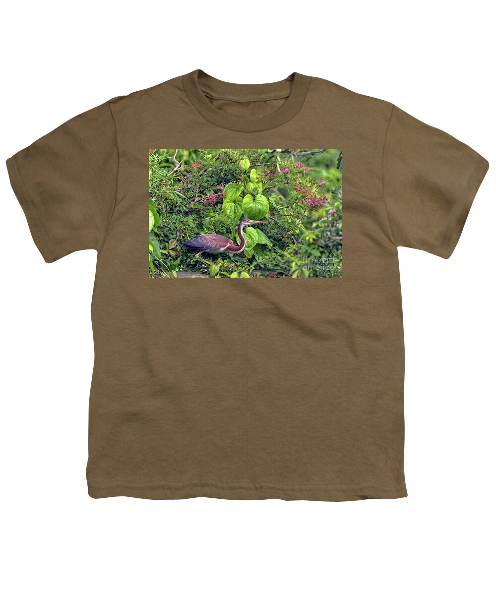Herons Youth T-Shirt featuring the photograph Natures Wildlife Paradise by DB Hayes