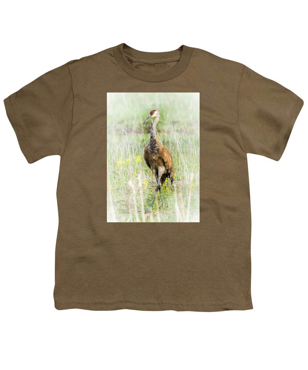  Sand Hill Crane (gruidae Youth T-Shirt featuring the photograph Nesting Sandhill Crane by Daniel Hebard