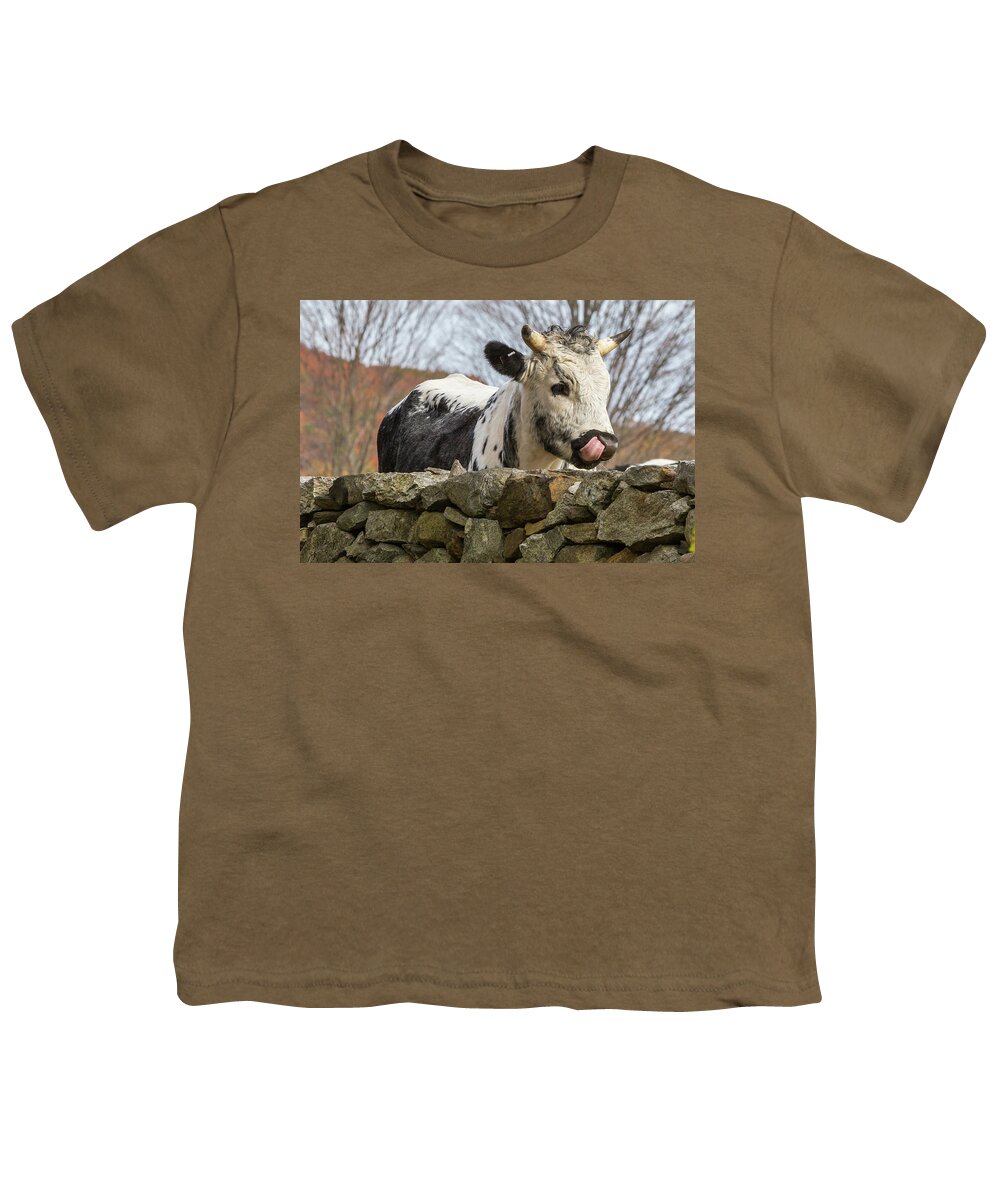 Randall Cattle Youth T-Shirt featuring the photograph Nosey by Bill Wakeley