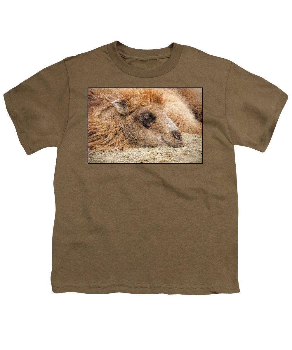 Not Humpday Camel Youth T-Shirt featuring the photograph Not Humpday Camel by LeeAnn McLaneGoetz McLaneGoetzStudioLLCcom