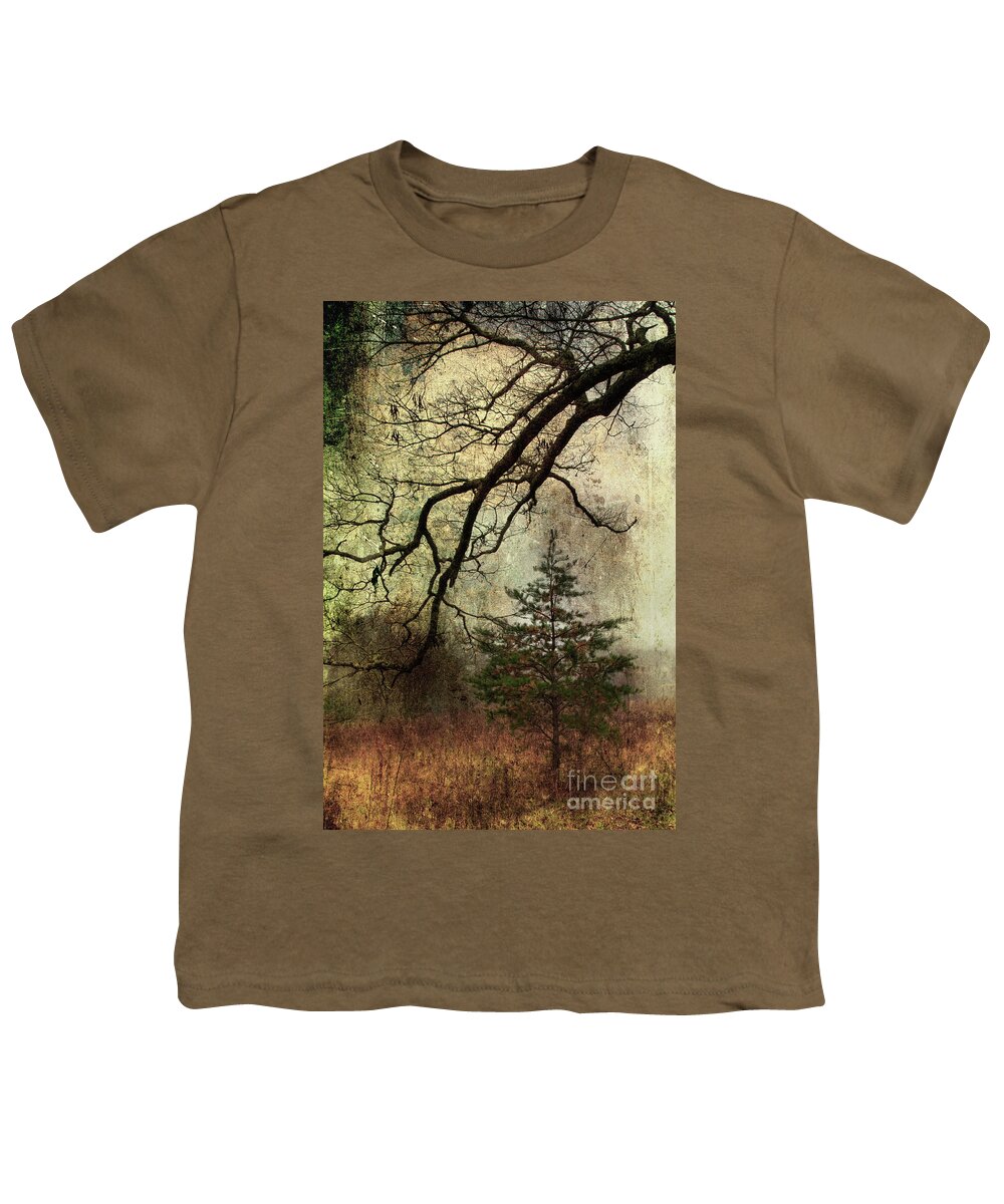 Pine Tree Youth T-Shirt featuring the photograph November Mood by Michael Eingle