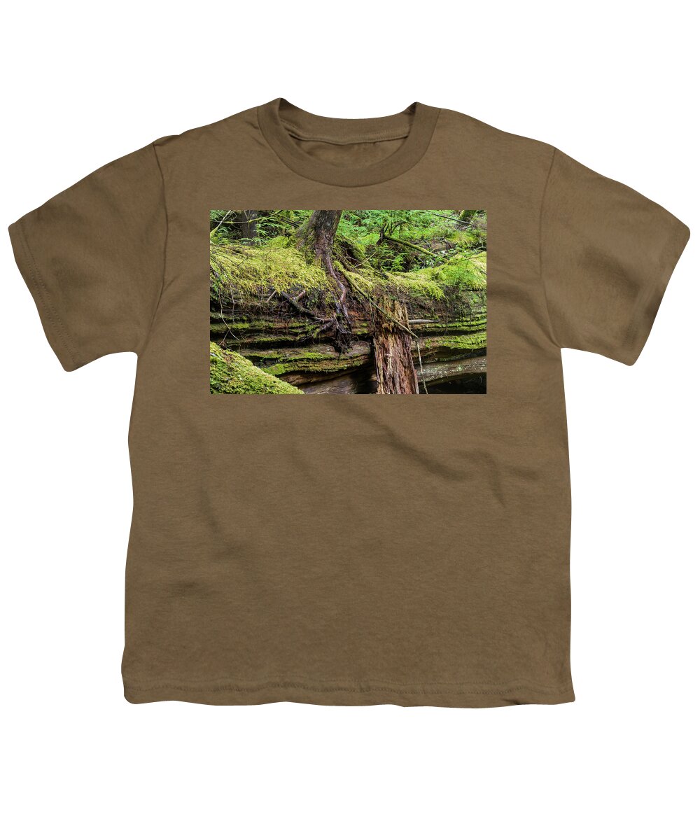 Cannon Beach Forest Reserve Youth T-Shirt featuring the photograph Nurse Log by Robert Potts