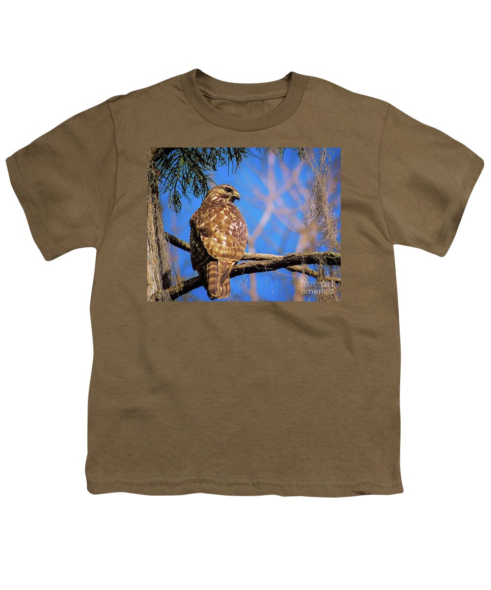 Nature Youth T-Shirt featuring the photograph Okefenokee Swamp Red-Tailed Hawk - Buteo Jamaicensis by DB Hayes