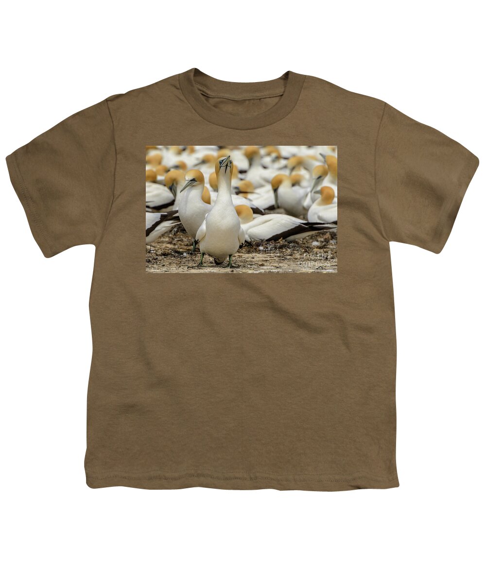 Bird Youth T-Shirt featuring the photograph On Guard by Werner Padarin