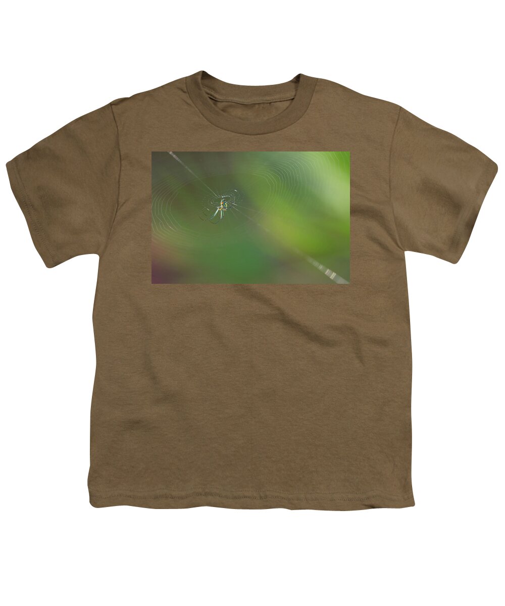 Spider Youth T-Shirt featuring the photograph Orchard Orbweaver #3 by Paul Rebmann
