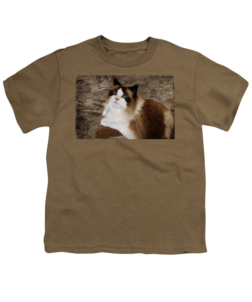 Cat Youth T-Shirt featuring the photograph Painted Princess by Judy Vincent