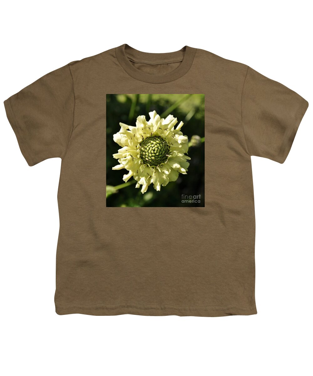 Giant Scabious Youth T-Shirt featuring the photograph Pale Beauty by Richard Brookes
