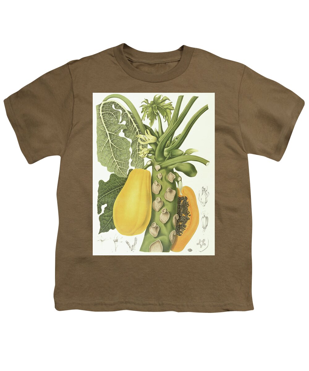 Papaya Youth T-Shirt featuring the painting Papaya by Berthe Hoola van Nooten