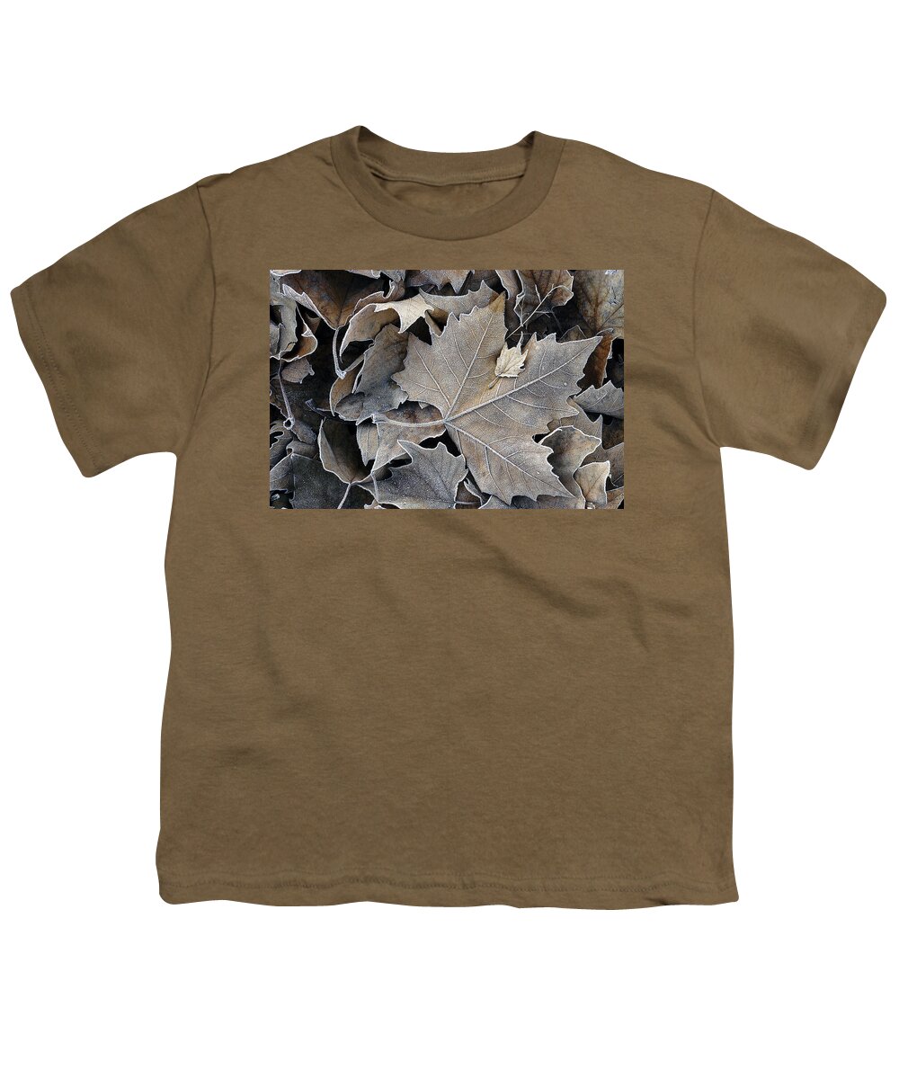 Maple Youth T-Shirt featuring the photograph Parental by DArcy Evans