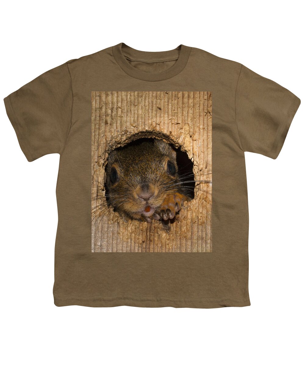 Garden Youth T-Shirt featuring the photograph Peeking Squirrel by Jean Noren