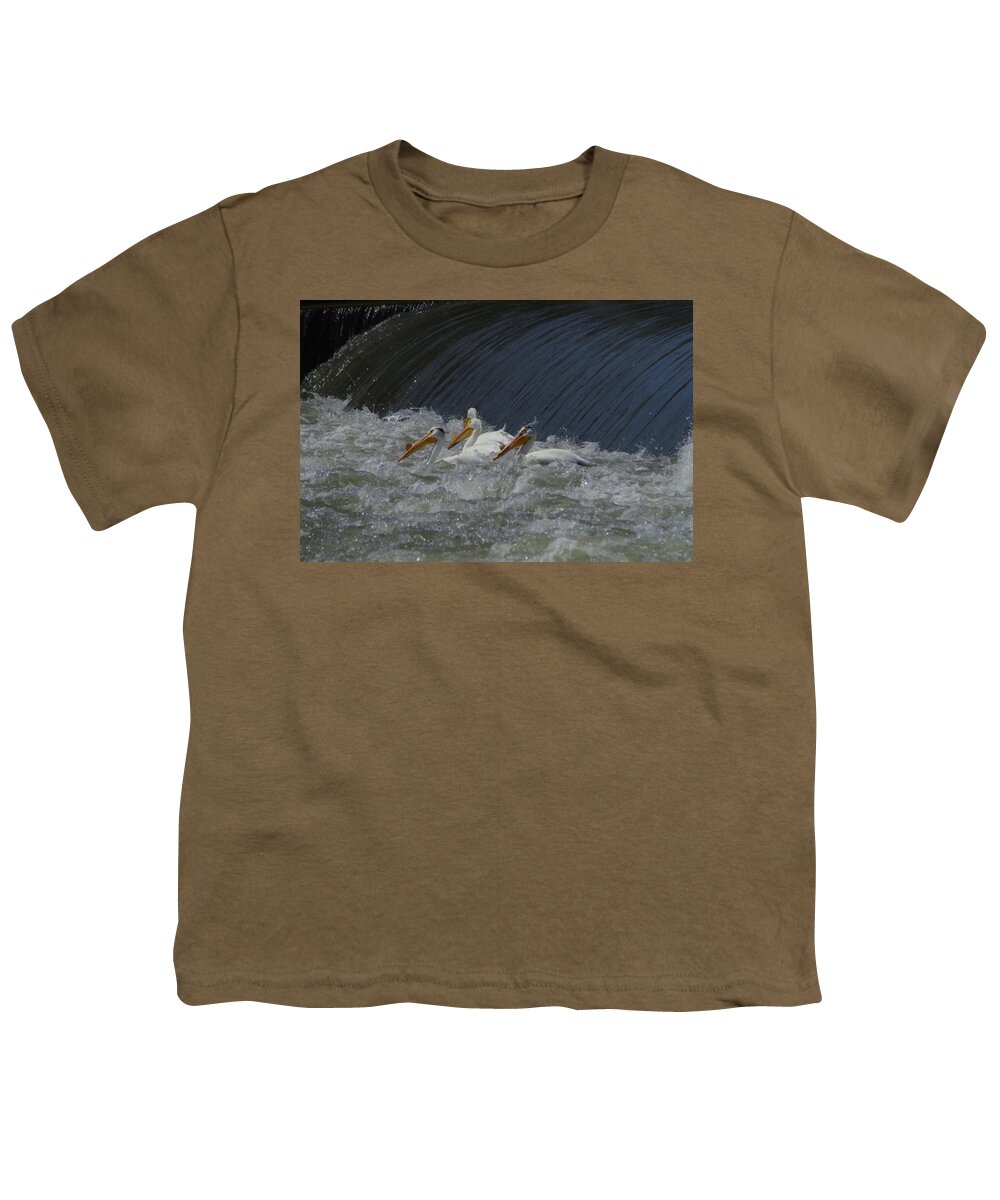 Birds Youth T-Shirt featuring the photograph Pelicans in rough water by Jeff Swan