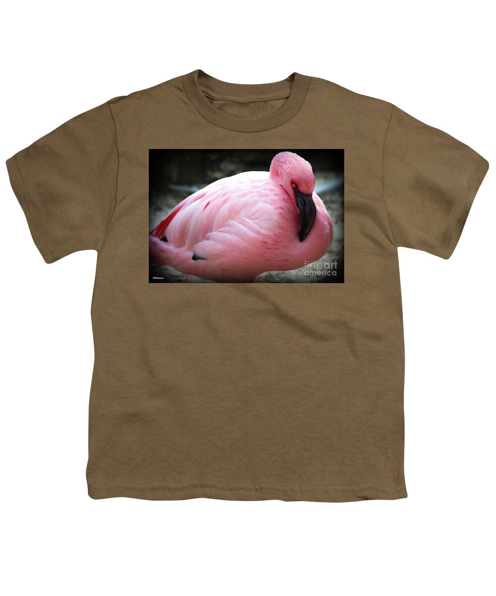 Pink Youth T-Shirt featuring the photograph Pink at the Memphis Zoo by Veronica Batterson
