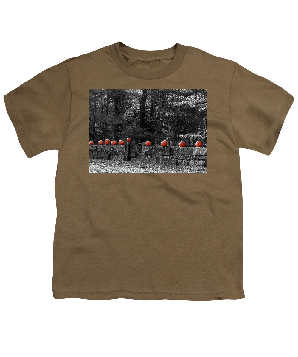 Pumpkins Youth T-Shirt featuring the photograph Pumpkins on a wall by Mim White