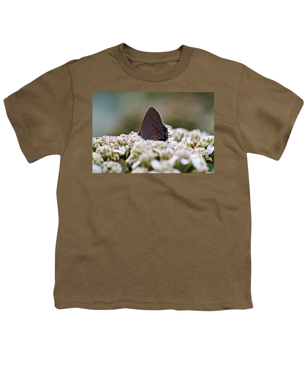 Red Youth T-Shirt featuring the photograph Red banded hairstreak butterfly by James Smullins