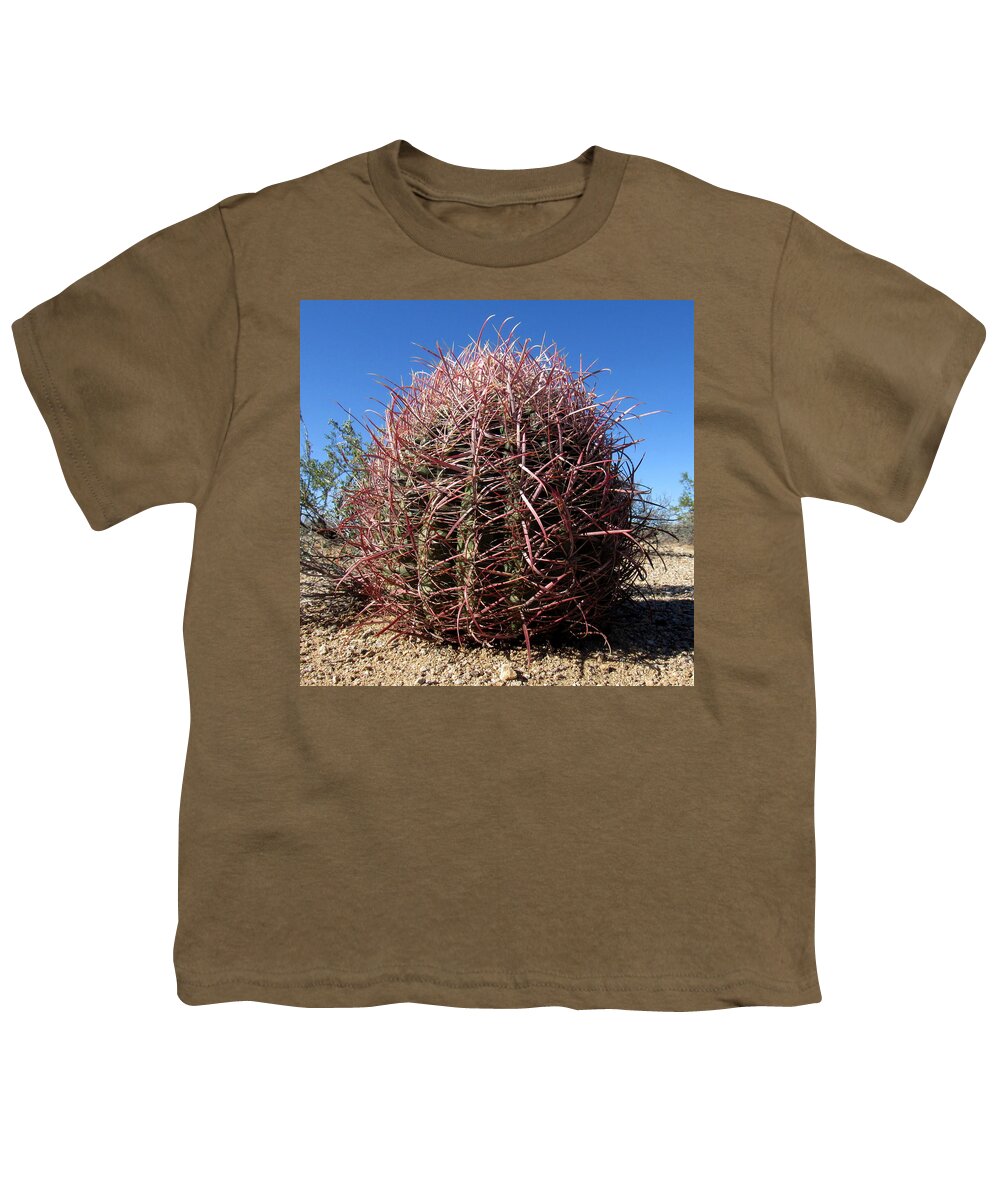 Red Barrel Cactus Mojave Cactus Species Mojave Flora Desert Flora Desert Cactus Rare Flora California Cactus Species Pixels.com Nature Conservancy Youth T-Shirt featuring the photograph Red Barrel Cactus by Joshua Bales