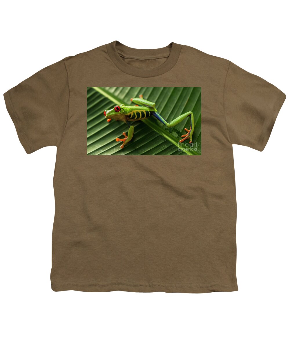 Frog Youth T-Shirt featuring the photograph Red Eyed Tree Frog Costa Rica 6 by Bob Christopher
