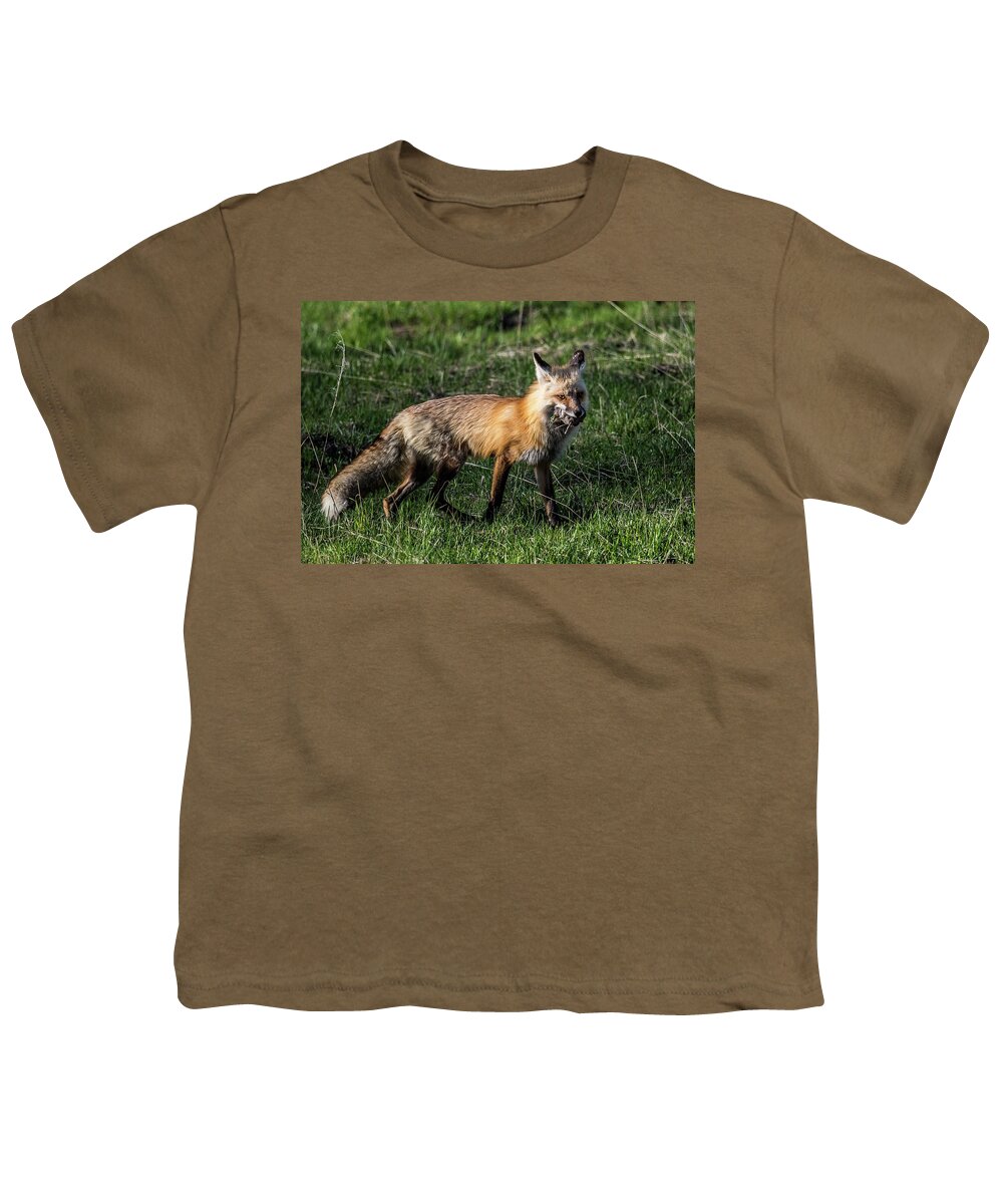 Fox Youth T-Shirt featuring the photograph Red Fox by Paul Freidlund