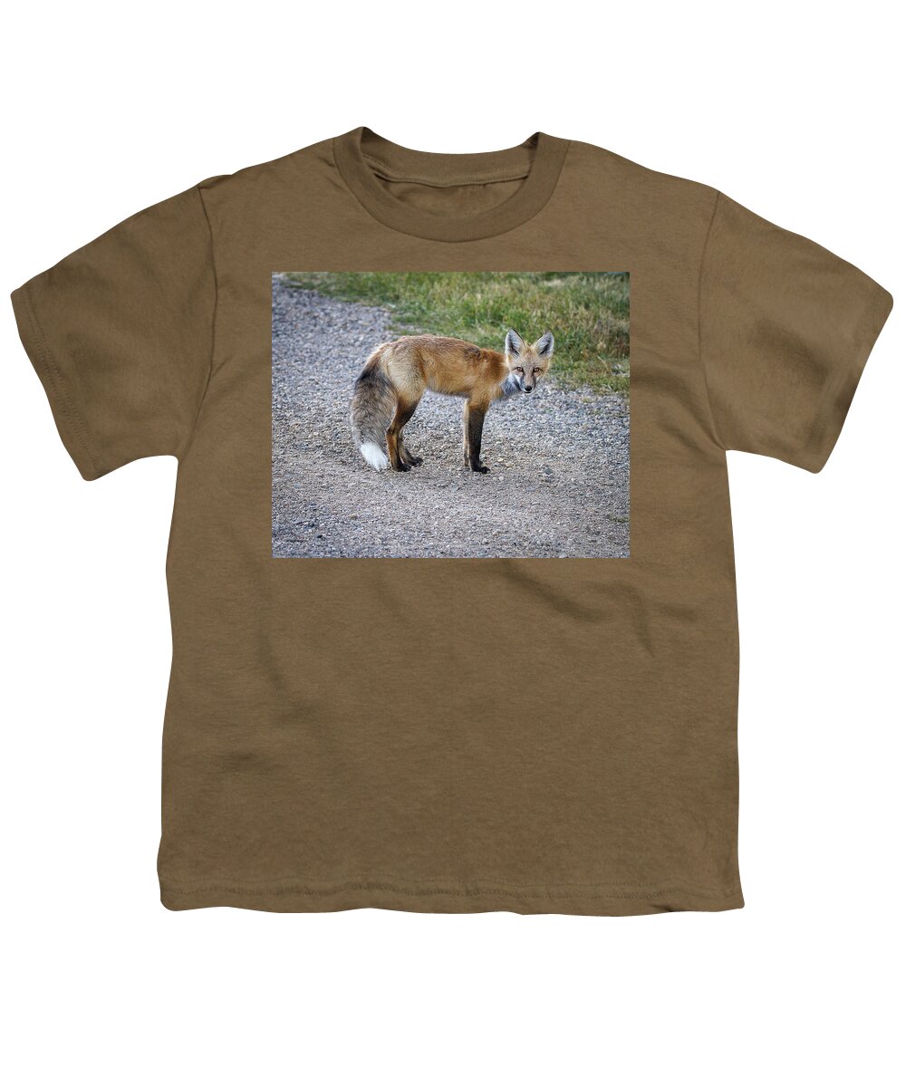Red Fox Youth T-Shirt featuring the photograph Red Fox by Ronald Lutz