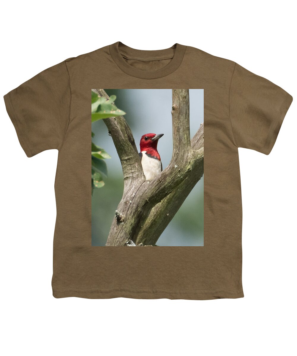 Red-headed Woodpecker Youth T-Shirt featuring the photograph Red-Headed Woodpecker by Holden The Moment