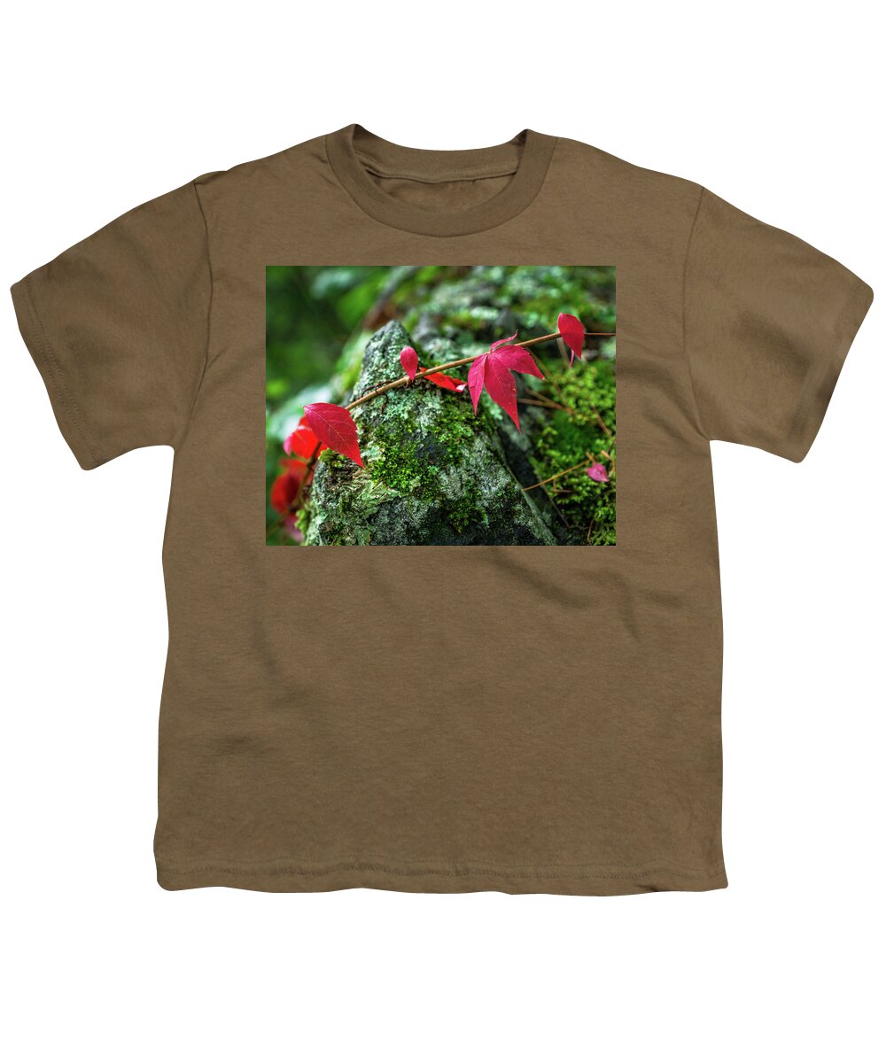 Fall Youth T-Shirt featuring the photograph Red Vine by Bill Pevlor