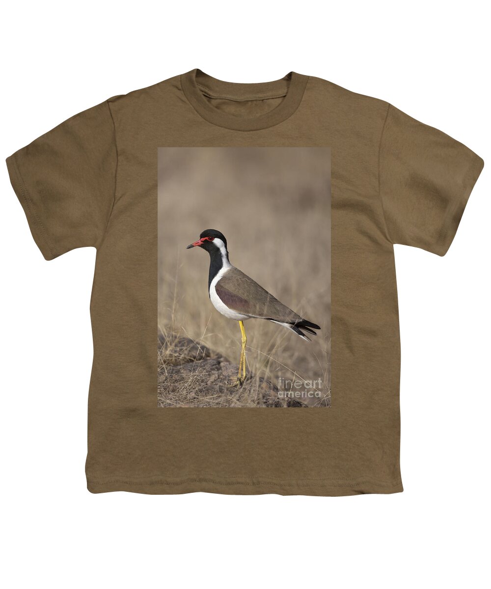 Red-wattled Lapwing Youth T-Shirt featuring the photograph Red-wattled Lapwing by Bernd Rohrschneider/FLPA