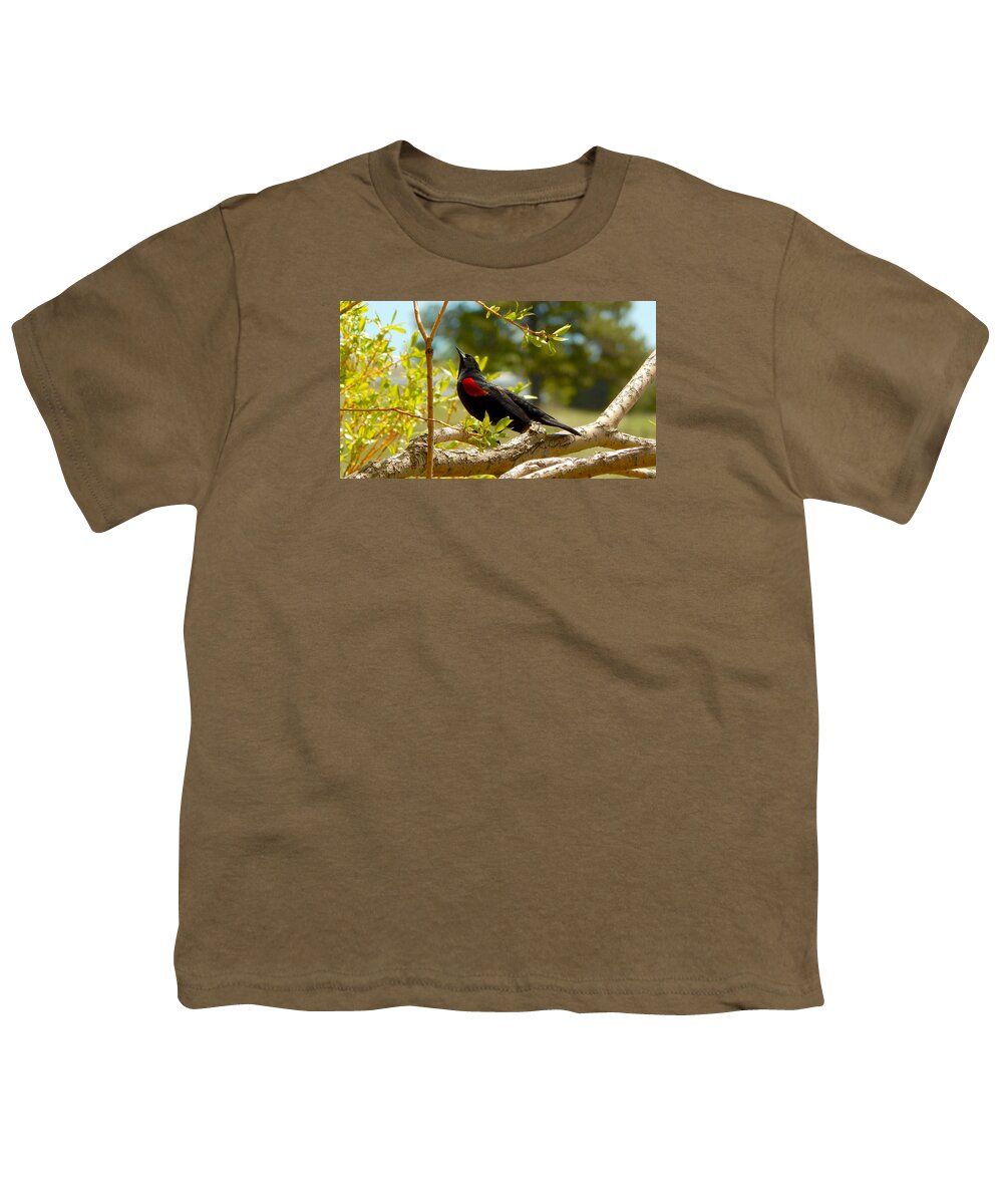 Photo Youth T-Shirt featuring the photograph Red-winged Blackbird 2 by Dan Miller