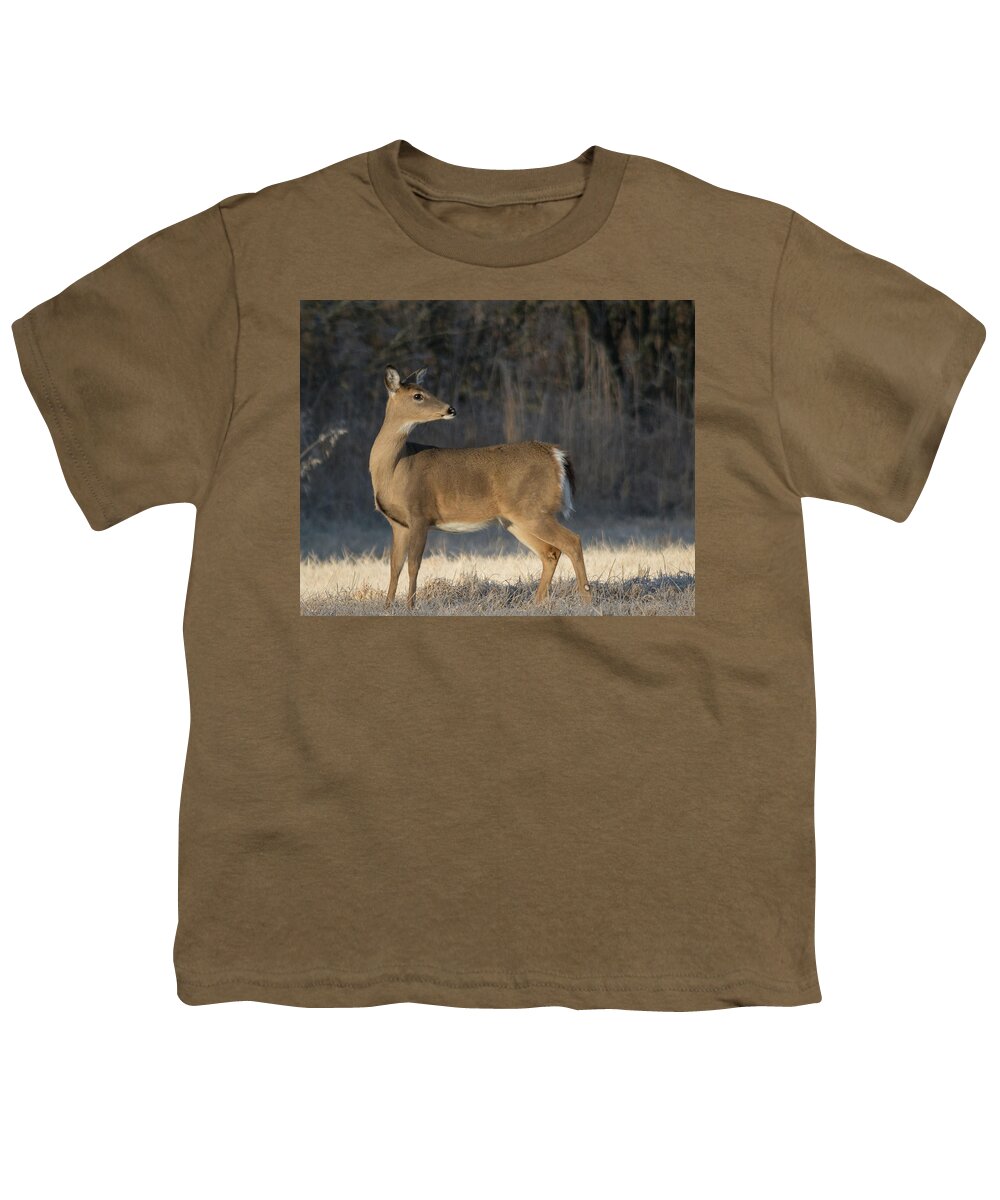 Wildlife Youth T-Shirt featuring the photograph Reflecting On The Past by John Benedict