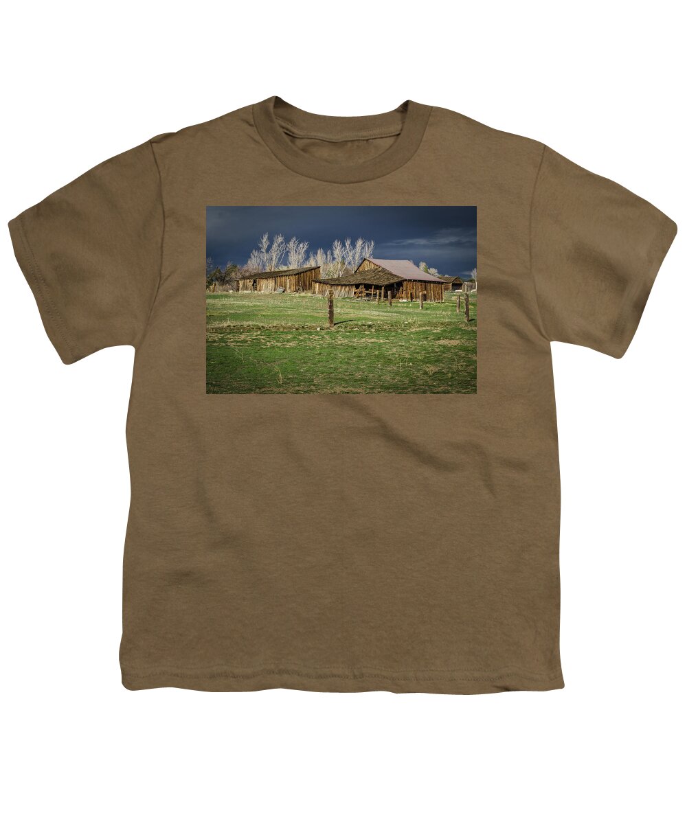 Reno Youth T-Shirt featuring the photograph Reno Barn by Rick Mosher