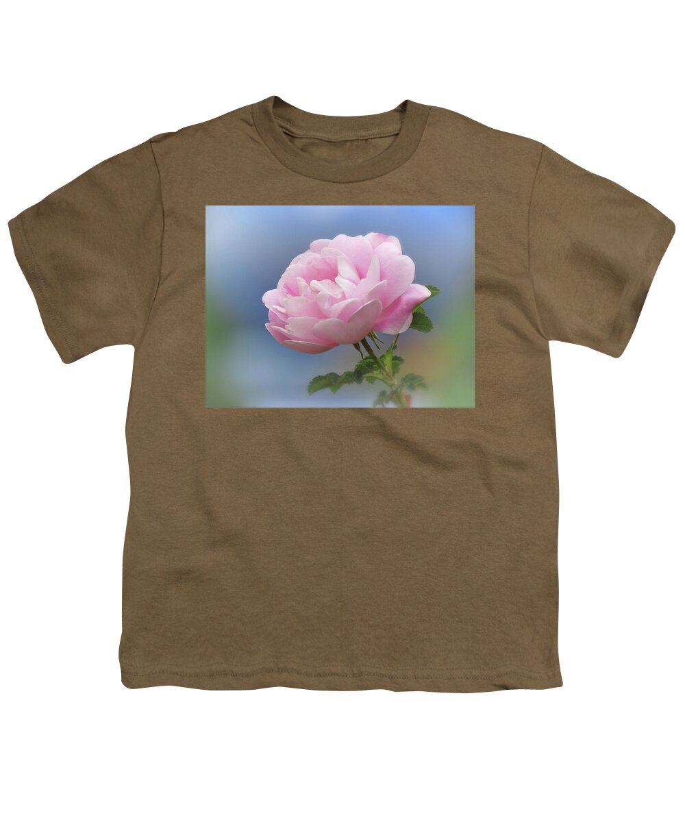 Rose Youth T-Shirt featuring the photograph Rose Pink on Blue by MTBobbins Photography