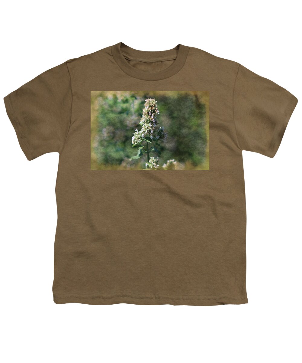 Calliste Youth T-Shirt featuring the photograph Rustic Weathered Calliste Green Wild Mint by Colleen Cornelius