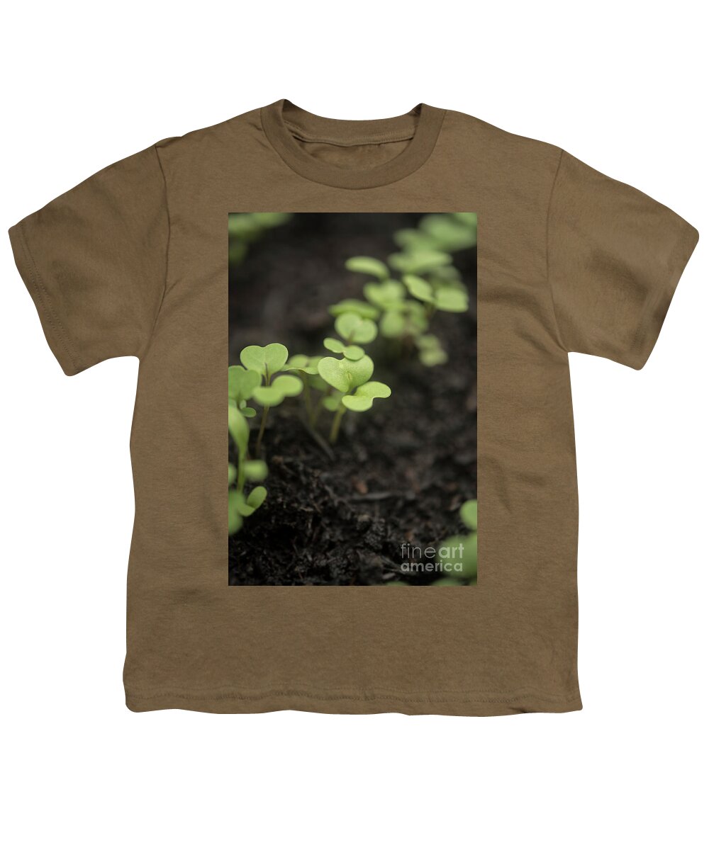 Salad Youth T-Shirt featuring the photograph Salad Leaves 003 by Clayton Bastiani