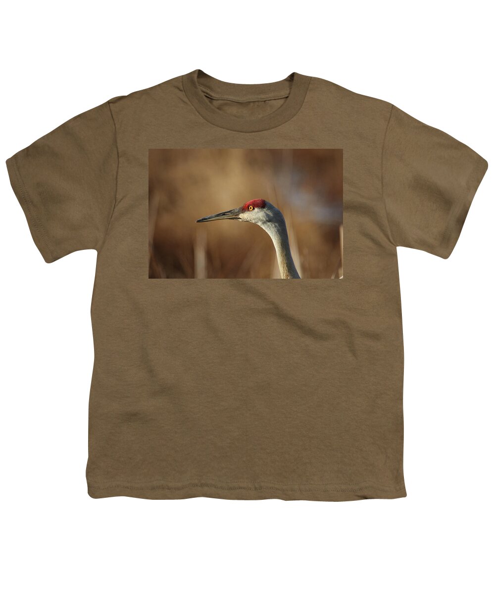 Sandhill Crane Youth T-Shirt featuring the photograph Sand Hill Crane Portrait by Brook Burling