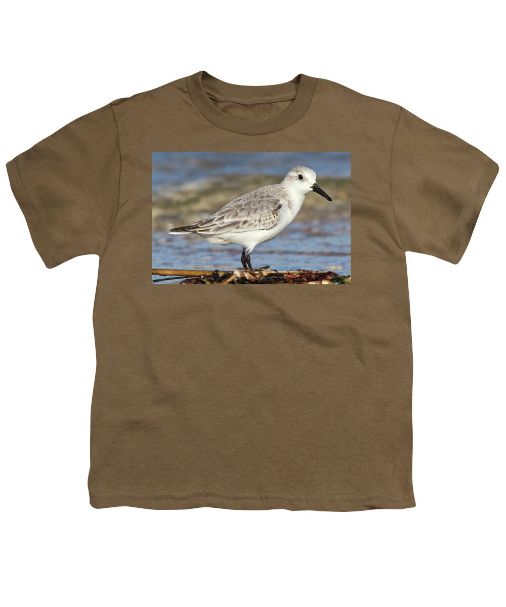 Sanderling Youth T-Shirt featuring the photograph Sanderling Westhampton New York by Bob Savage