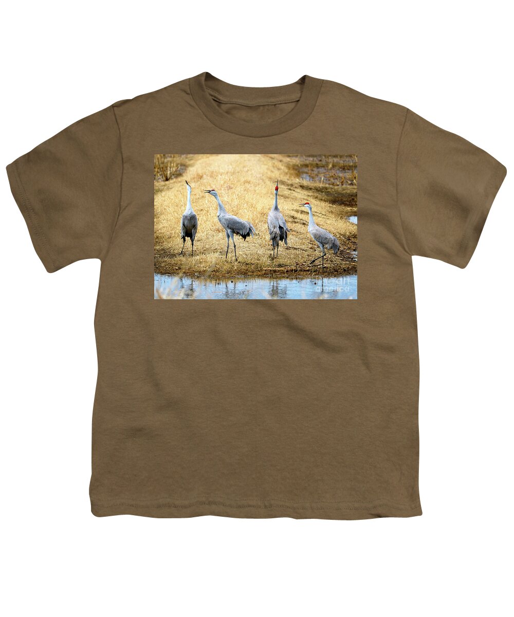 Quartet Youth T-Shirt featuring the photograph Sandhill Crane Quartet by Carol Groenen