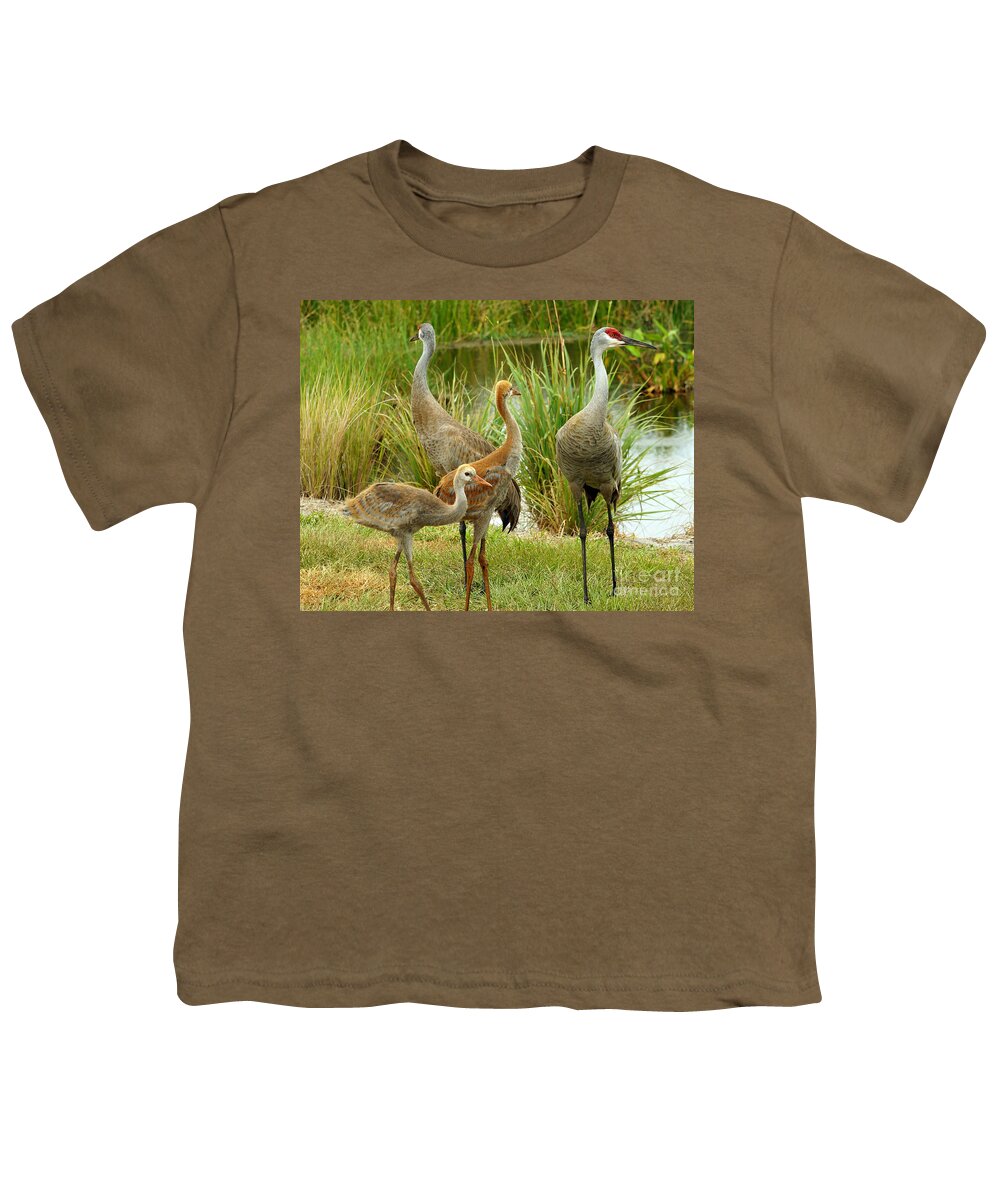 Sandhill Cranes Youth T-Shirt featuring the photograph Sandhill Cranes On Alert by Larry Nieland