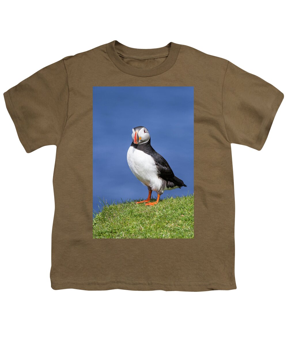 Atlantic Puffin Youth T-Shirt featuring the photograph Shetland Puffin by Arterra Picture Library