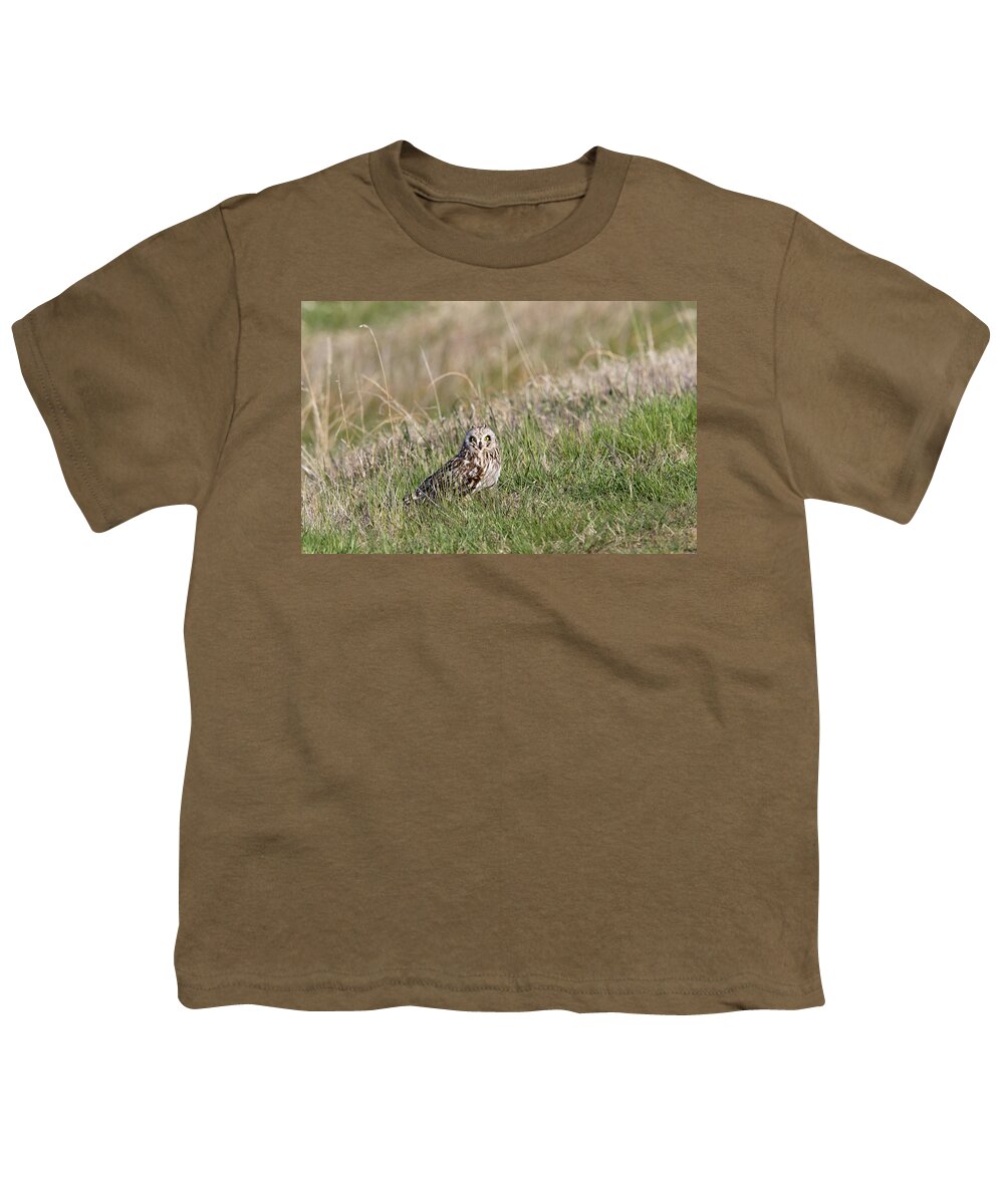 Owl Youth T-Shirt featuring the photograph Short Eared Owl by Ronnie And Frances Howard